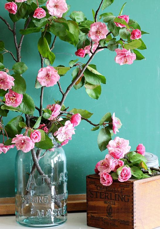 Hermosas flores de color rosa rompecabezas en línea