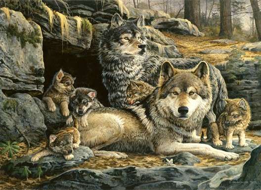 Gray wolves. jigsaw puzzle online