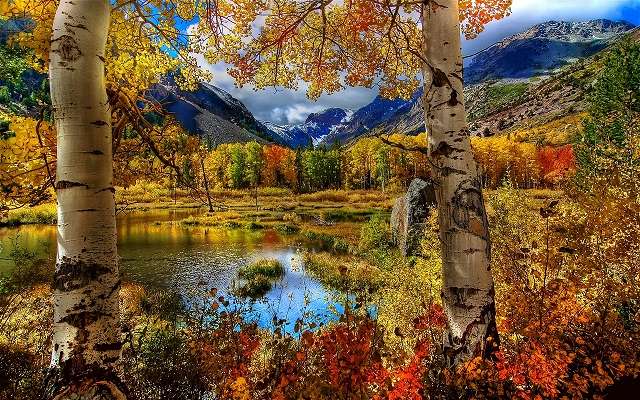 Höstens skönhet. Pussel online