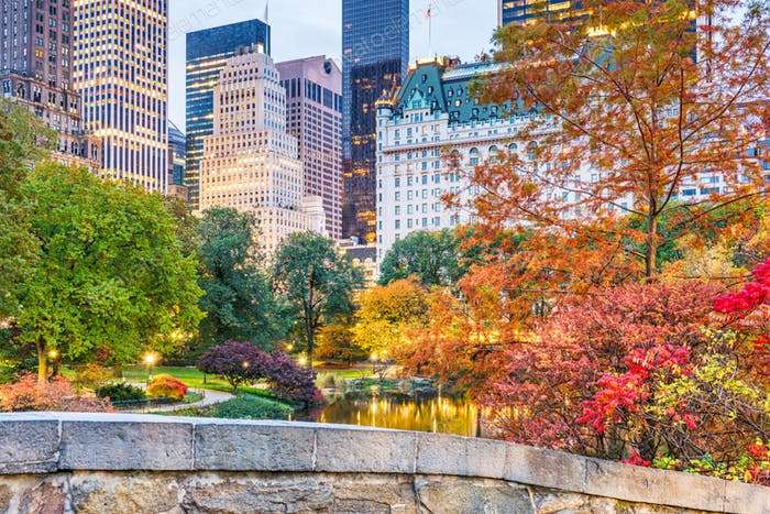Central Park i New York pussel på nätet