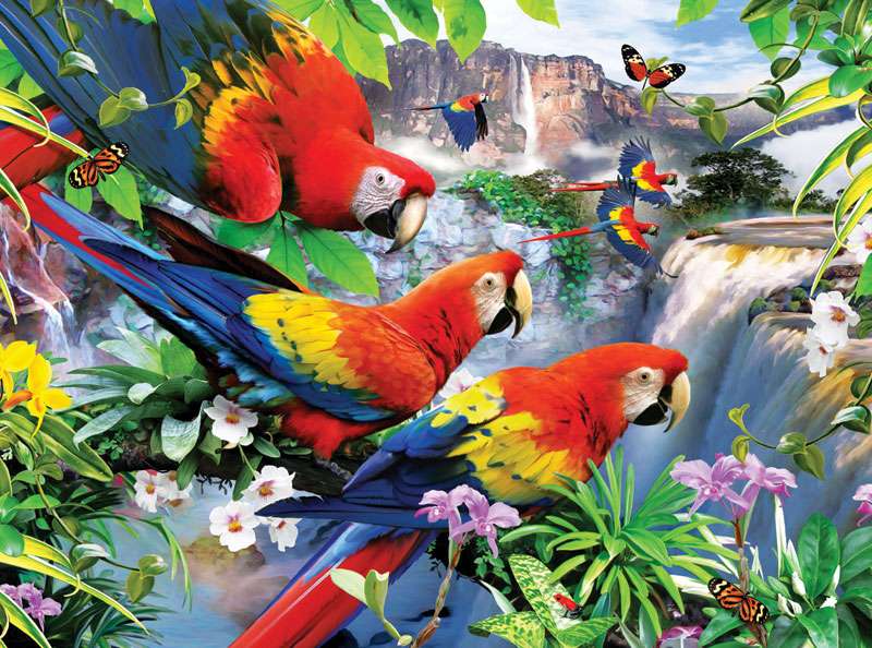 Lumea papagalilor jigsaw puzzle online