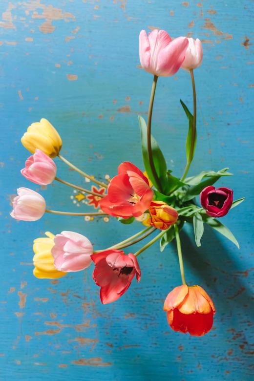 Красочные тюльпаны на столе онлайн-пазл