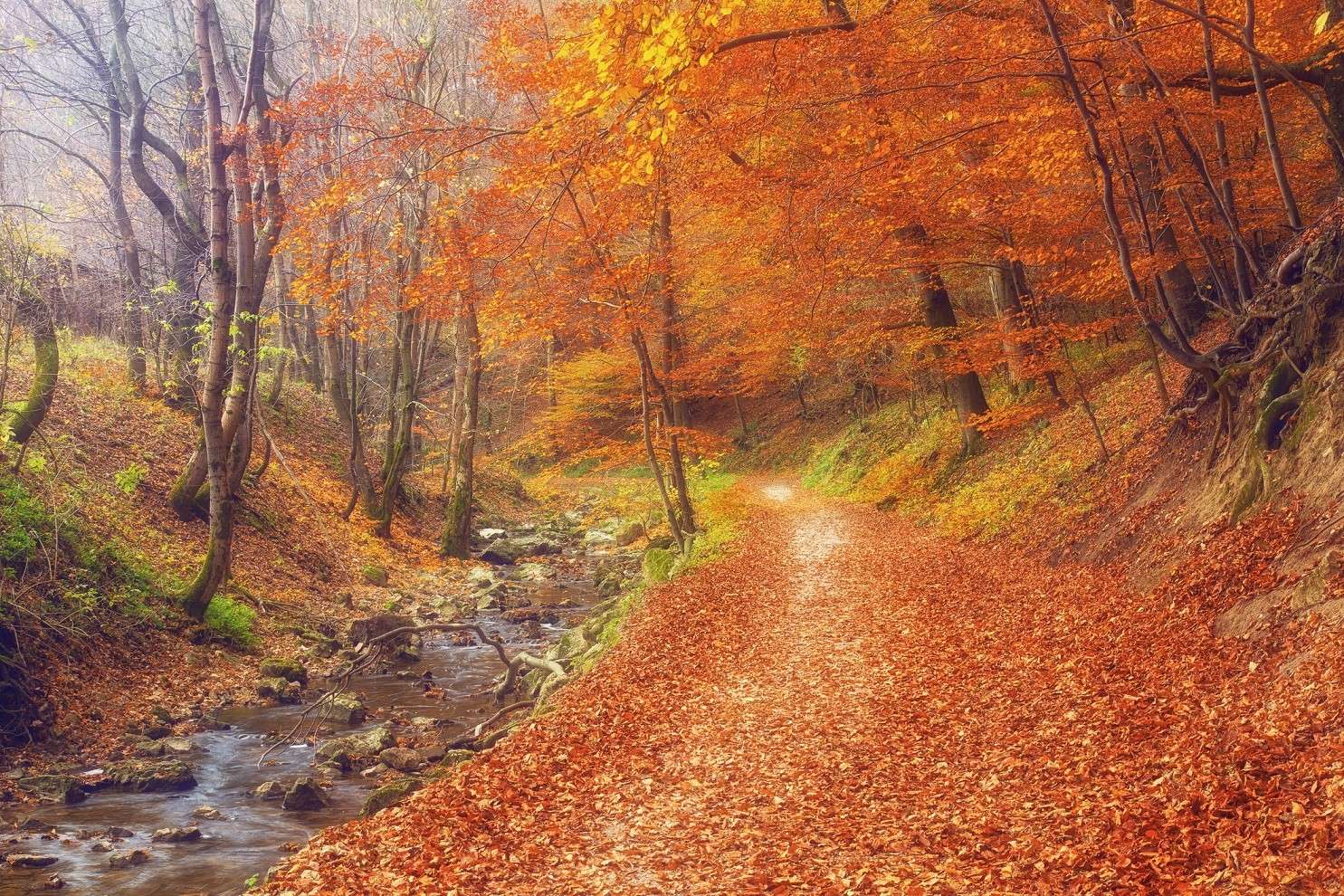 Autunno ungherese. puzzle online