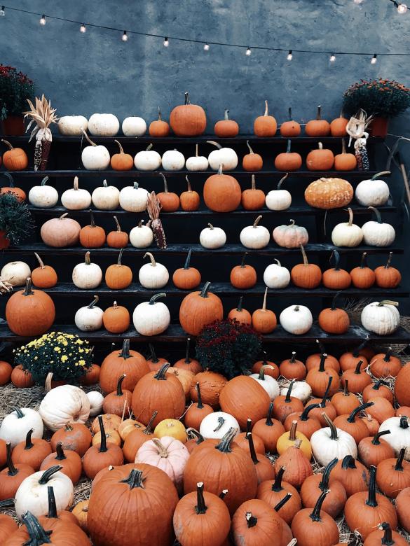 Pumpkins for Halloween online puzzle