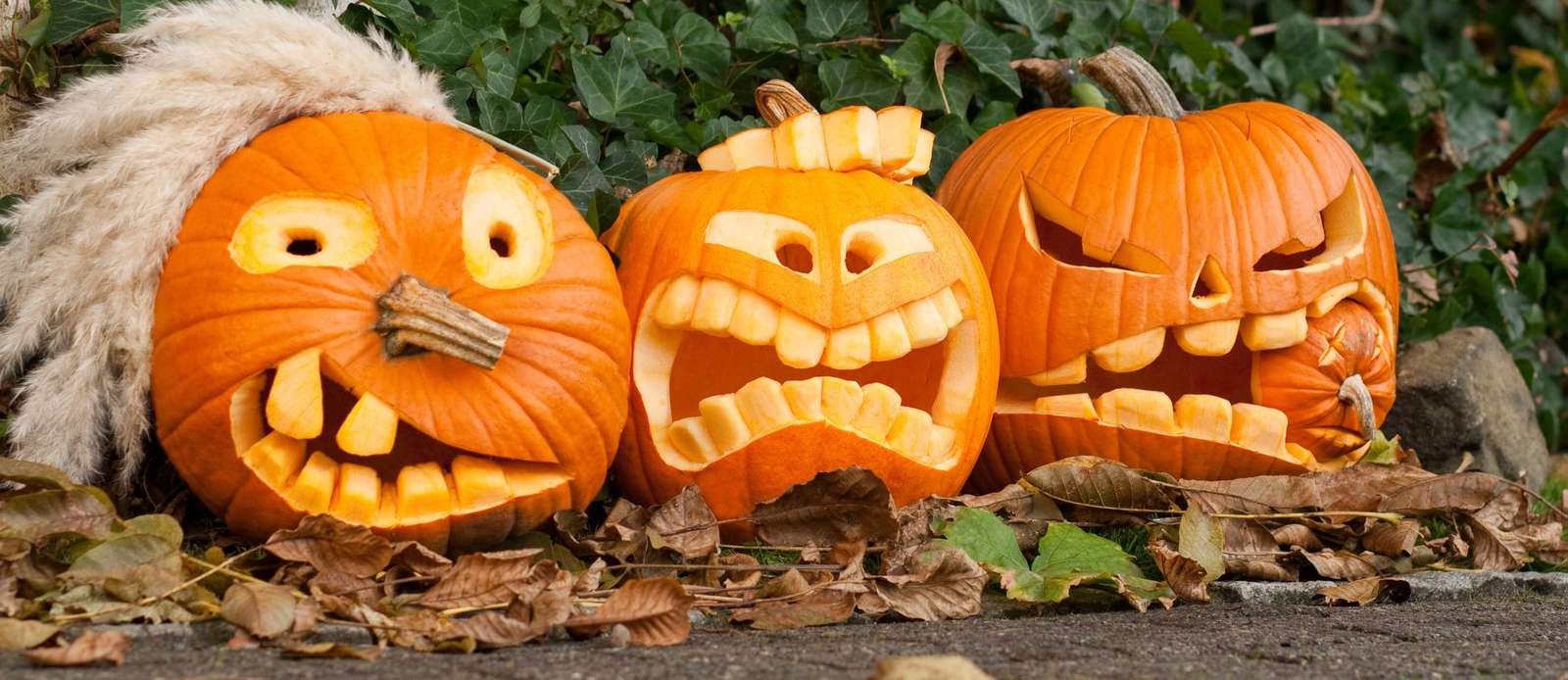 Carved pumpkins for Halloween jigsaw puzzle online