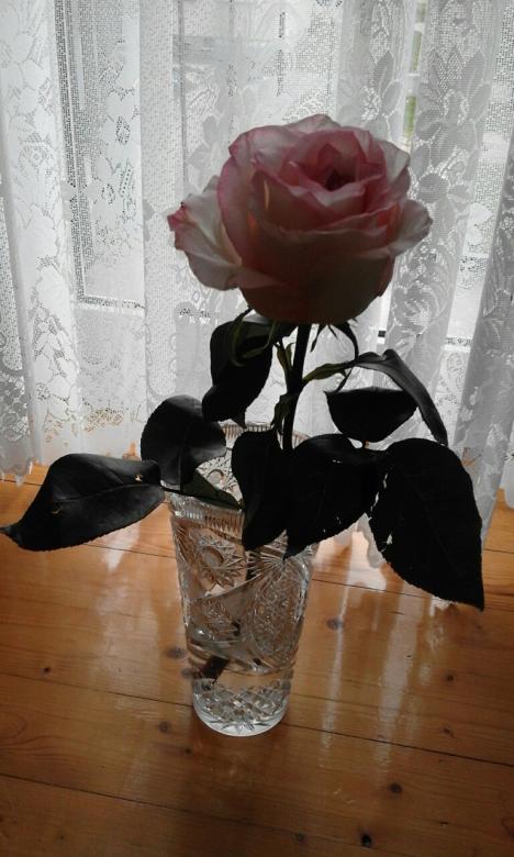 rose dans un vase en cristal puzzle en ligne