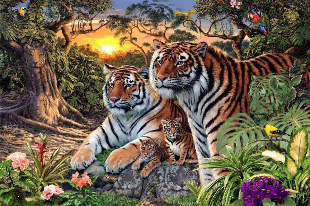 Familia tigrului jigsaw puzzle online