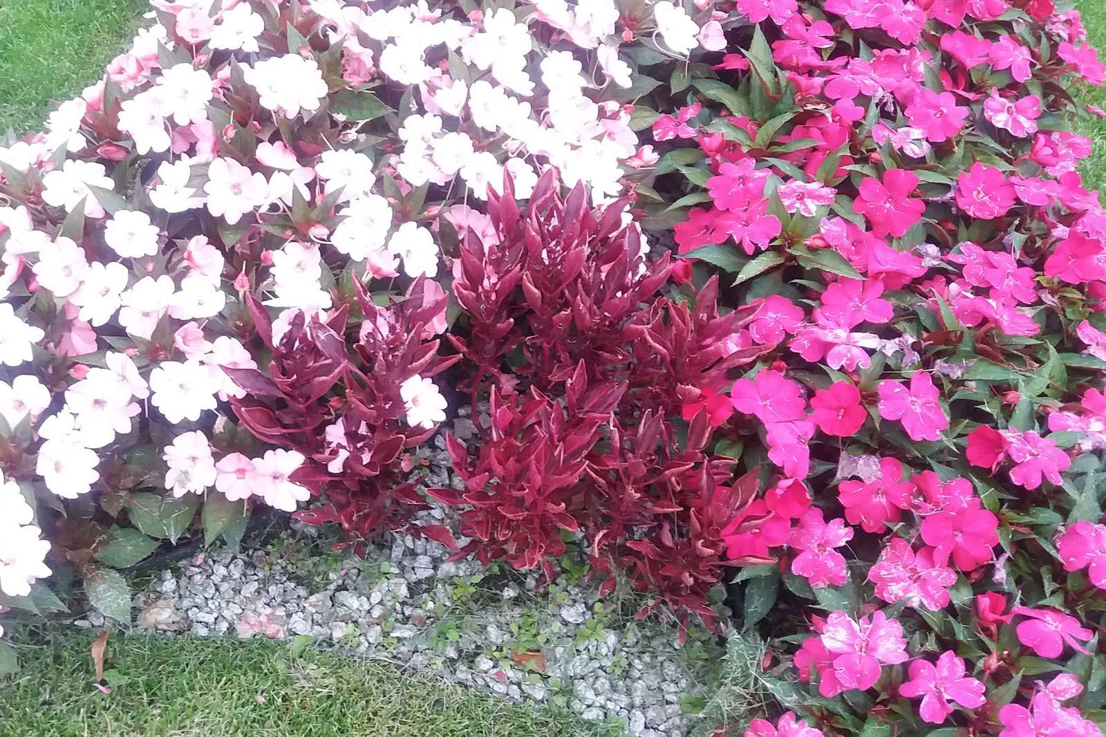 Fronteira de flor colorida. quebra-cabeças online