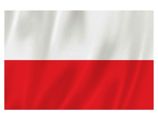 Πολωνική σημαία παιδικού σταθμού online παζλ