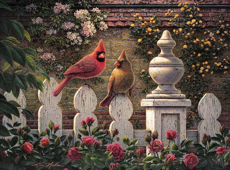Cardinal birds. online puzzle