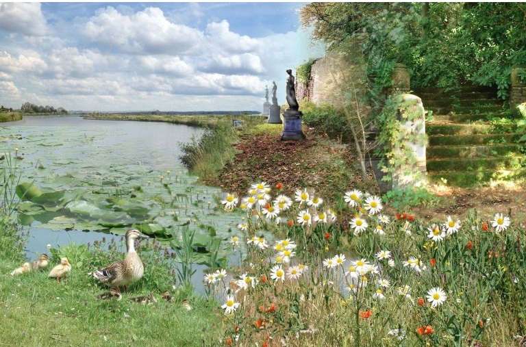 Chamomile by the water. jigsaw puzzle online