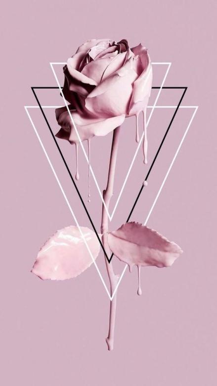 trandafir roz ușor puzzle online
