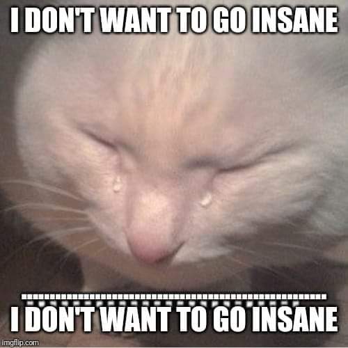 грустный котенок онлайн-пазл