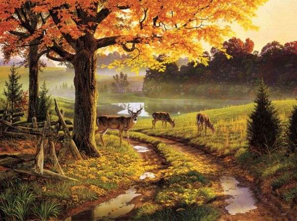 At the edge of the forest. jigsaw puzzle online