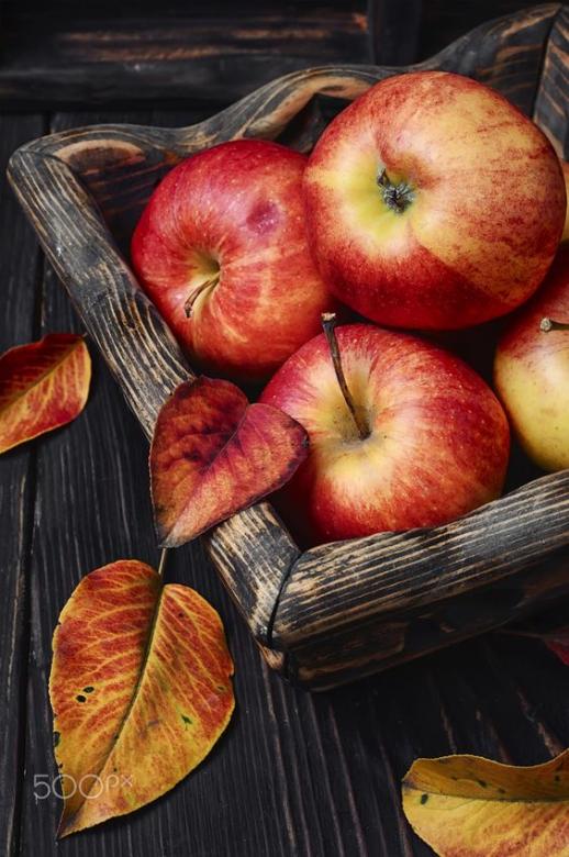 manzanas de otoño rompecabezas en línea