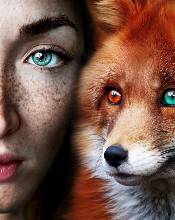 foxy vibe jigsaw puzzle online