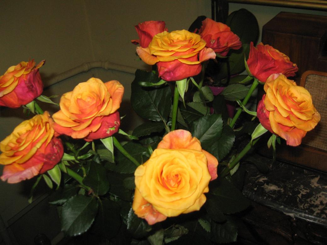 Χρυσά τριαντάφυλλα online παζλ