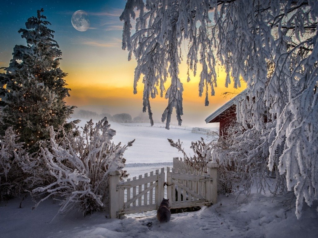 Frosty nachtlandschap legpuzzel online