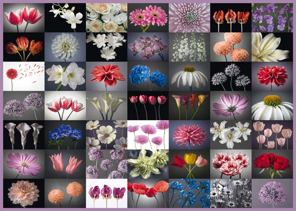 Quebra-cabeça floral. quebra-cabeças online