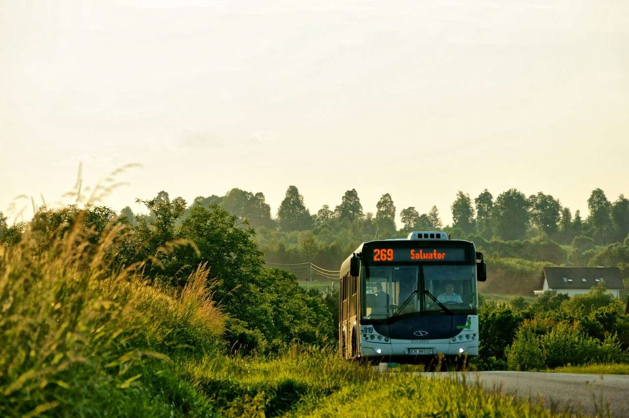 λεωφορείο στους θάμνους παζλ online