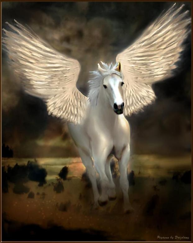 Pegasus Pegasus Pussel online