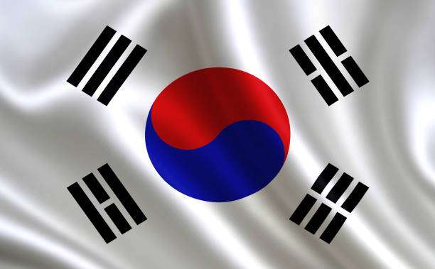 Sydkoreanska flaggan pussel på nätet