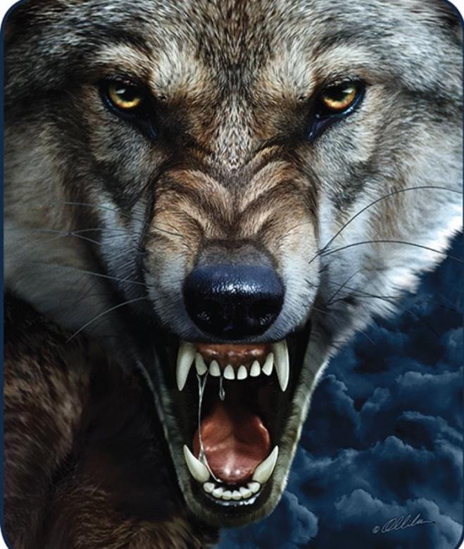 angry wolf jigsaw puzzle online