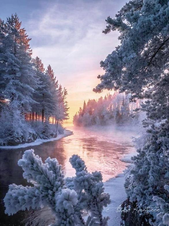Beleza de inverno. puzzle online