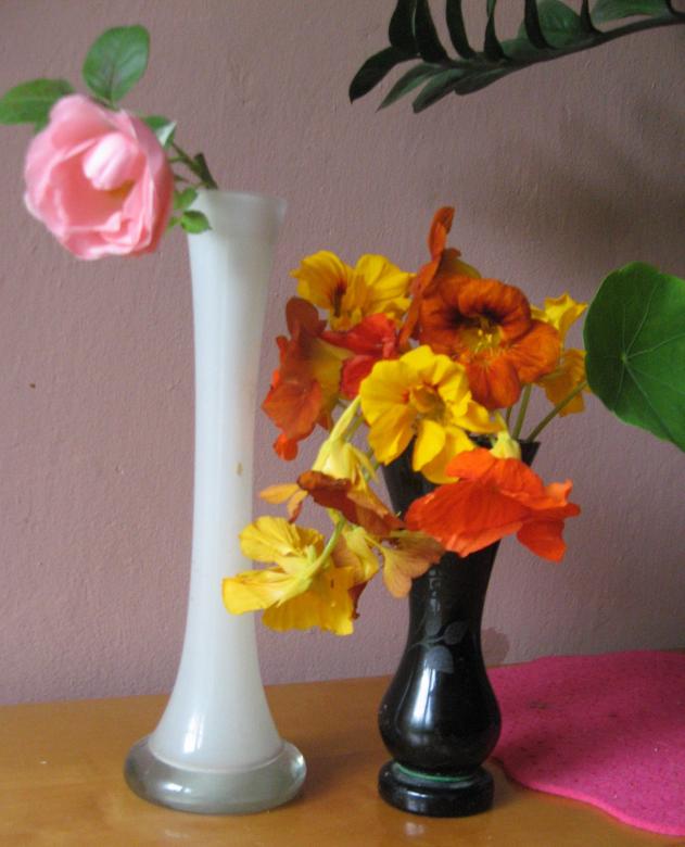 Nasturtium és egy rózsa kirakós online