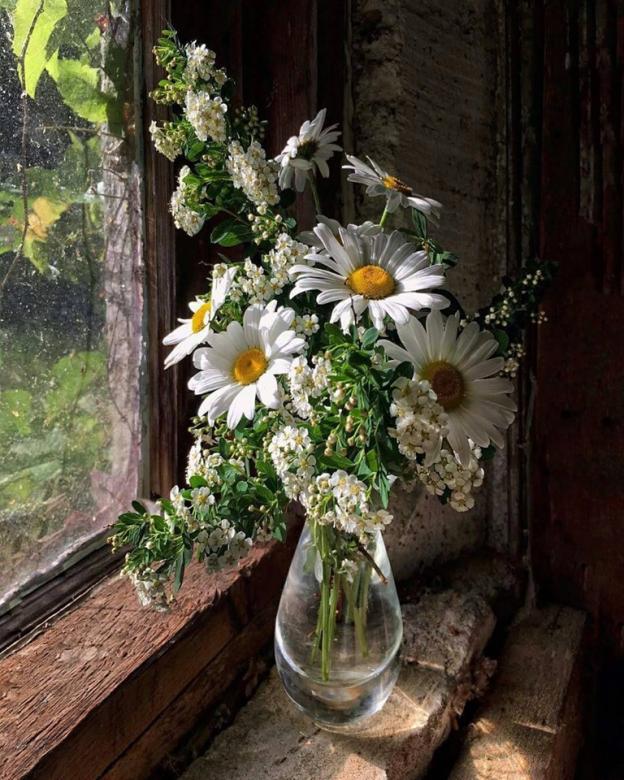 квіткове вікно онлайн пазл