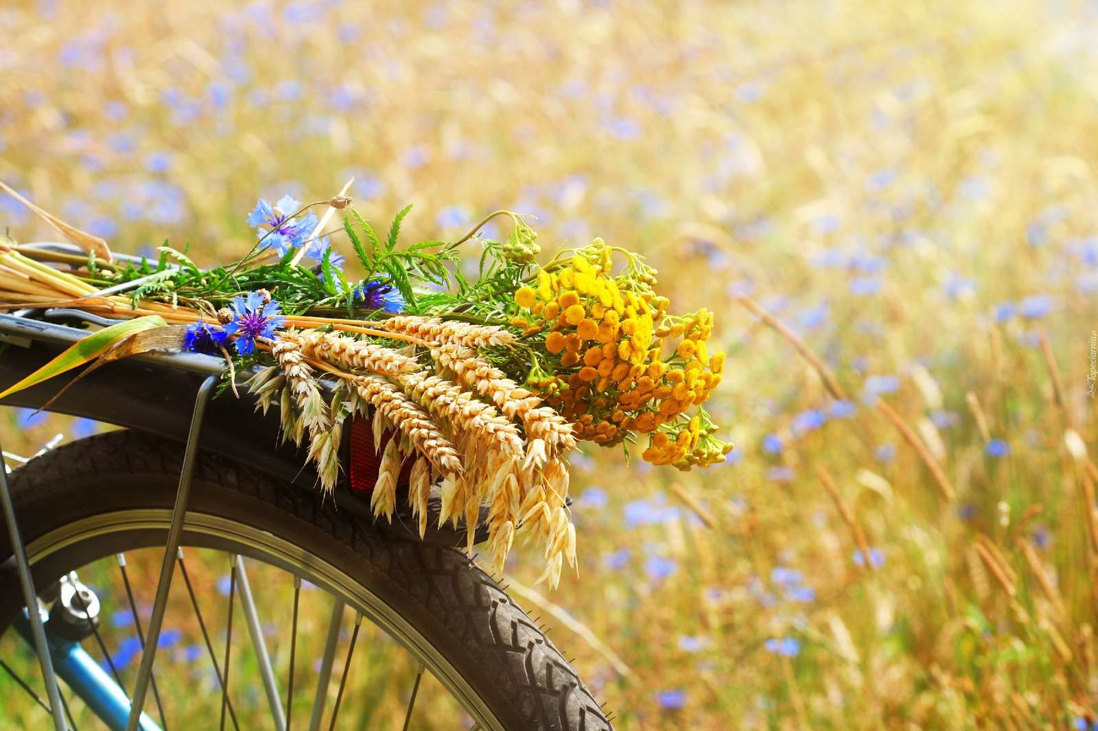 венец от летни цветя на багажника онлайн пъзел