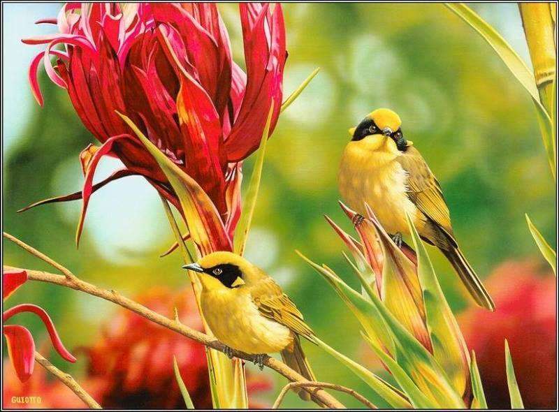 птици, заобиколени от цветя онлайн пъзел