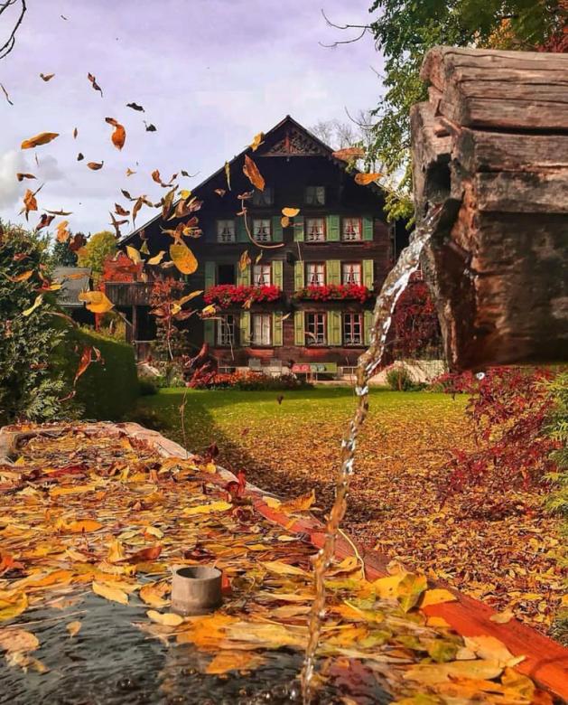 paisagens de outono quebra-cabeças online