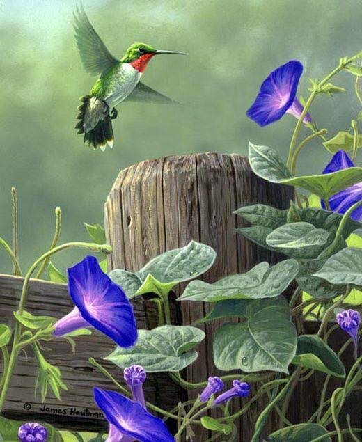 madár a virágok között kirakós online
