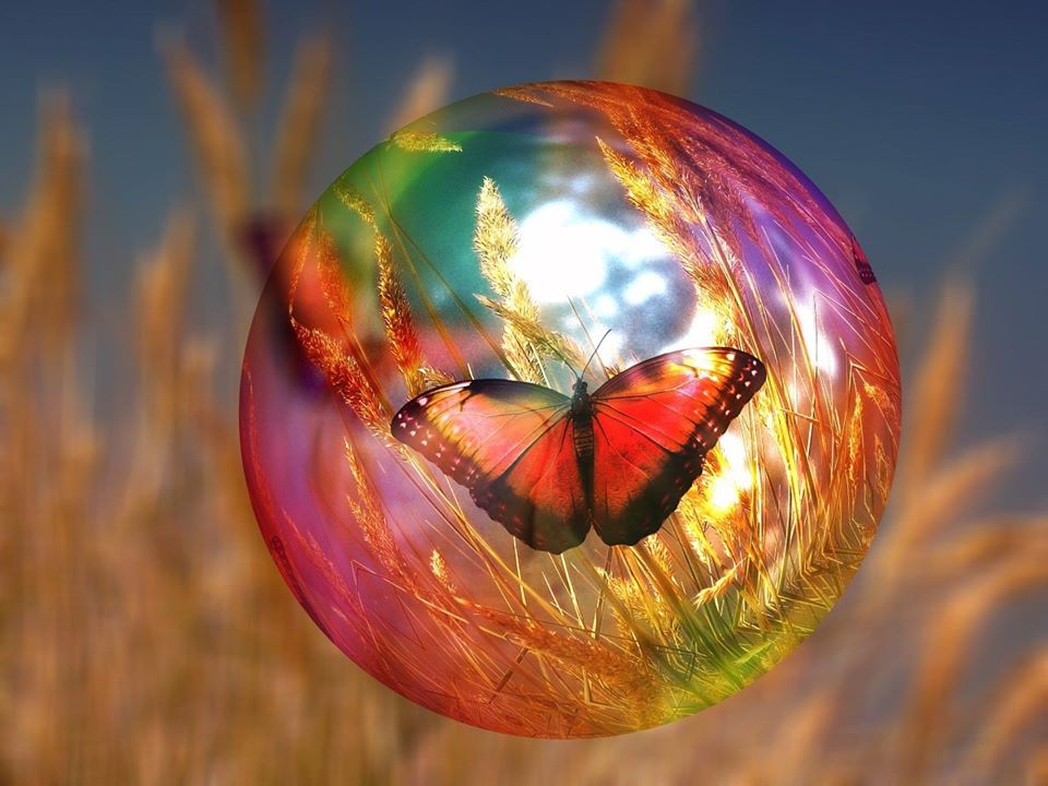 Flyktiga stunder som fjärilar Pussel online