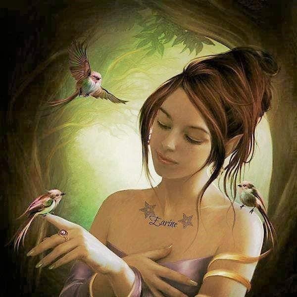 elf kvinna magiska fåglar Pussel online