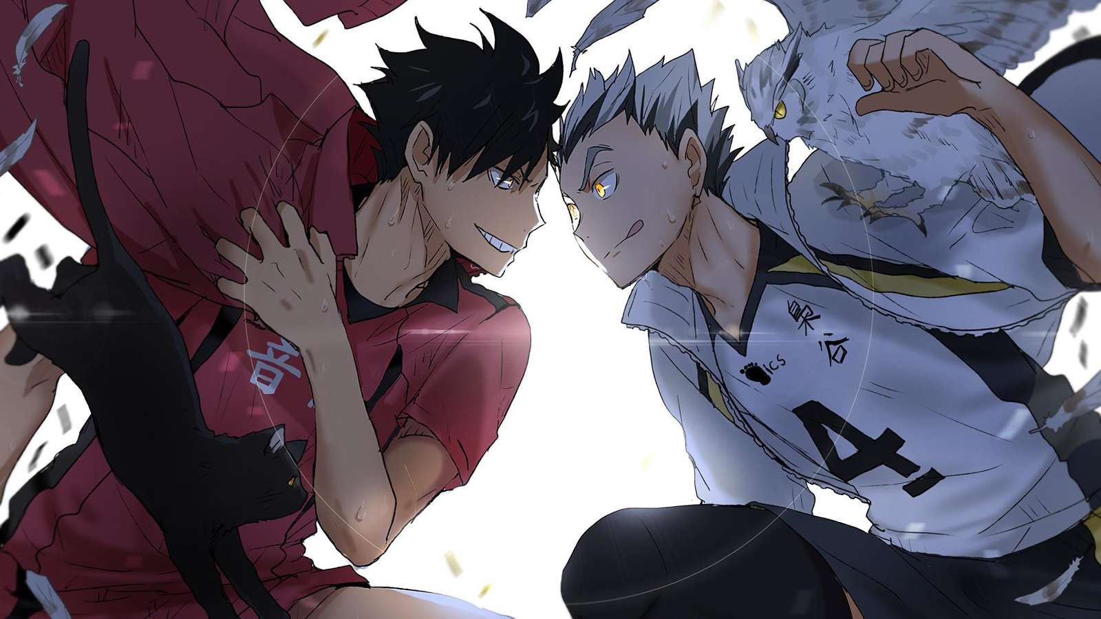 HAIKYUU !! rompecabezas en línea