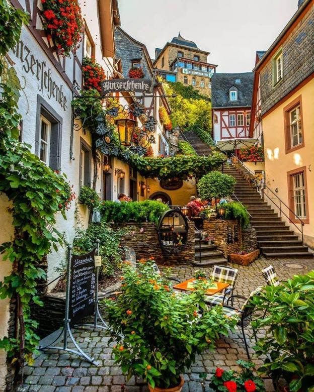 Krásná vesnice révy v Beilstein, Německo. online puzzle