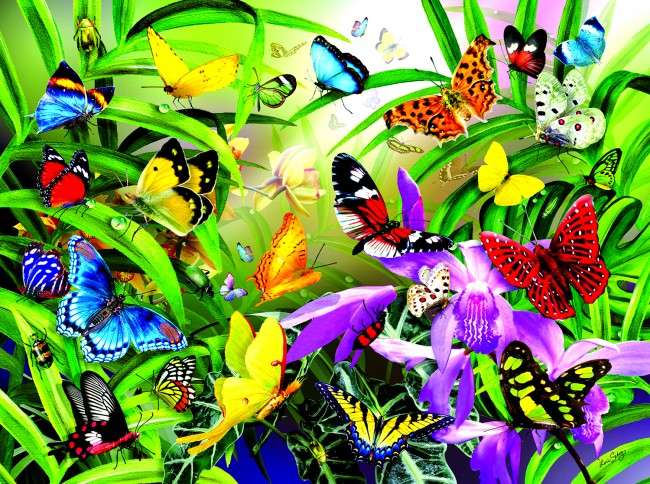 Tropische Schmetterlinge. Online-Puzzle