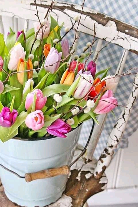 Tulipani Colorati puzzle online