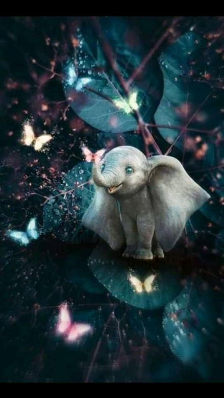Чарівні метелики слон онлайн пазл
