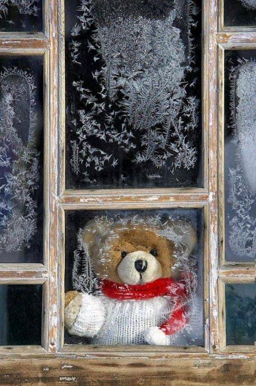 Givre de fenêtre ours en peluche puzzle en ligne