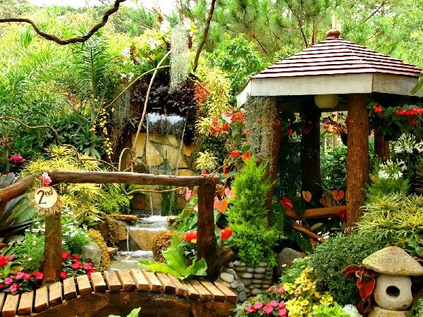 Чари японського саду пазл онлайн