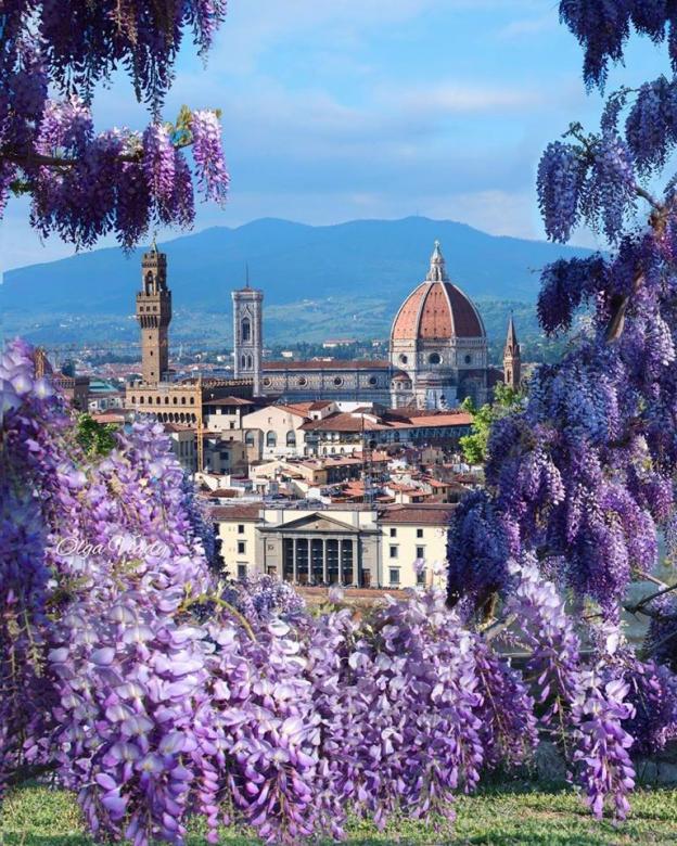 Firenze diszkrét varázsa kirakós online