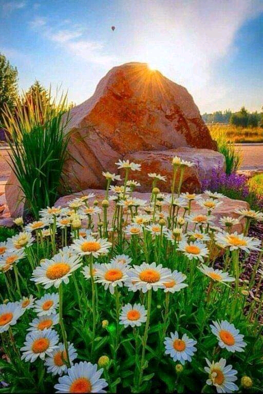 Цветя камъни слънце онлайн пъзел