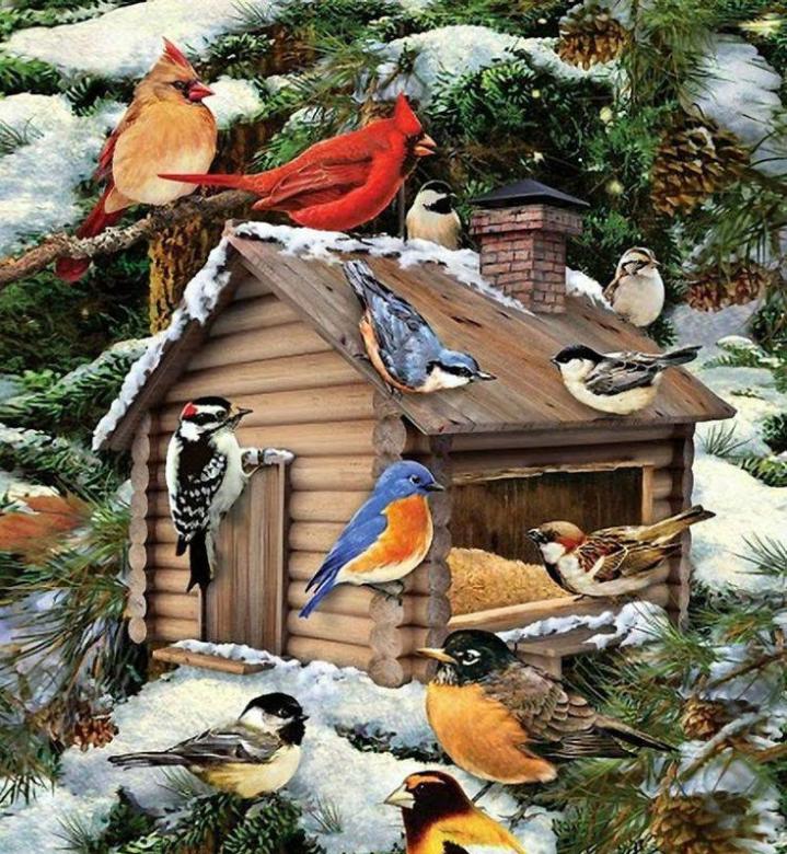 Colorful birds in the feeder jigsaw puzzle online