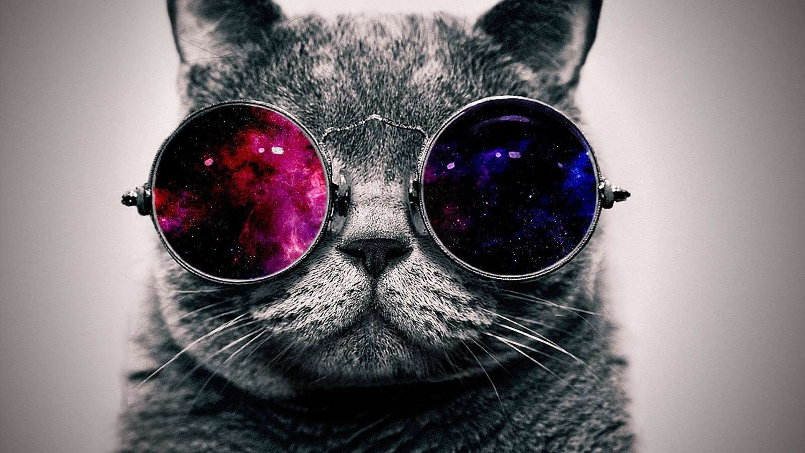 kočka s galaktickými sluneční brýle skládačky online