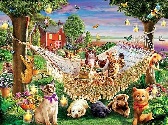 Cats in a hammock. jigsaw puzzle online