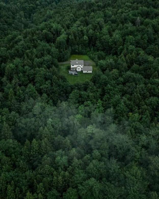 Ένα μοναχικό σπίτι στο δάσος παζλ online