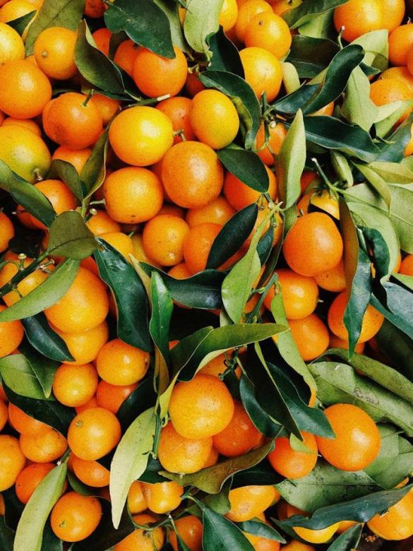 Oranges douces comme le miel puzzle en ligne